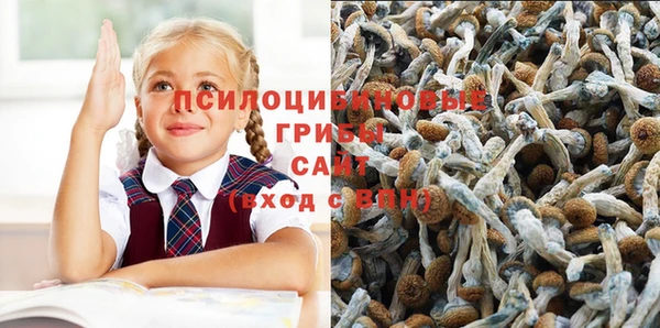 МДПВ Алзамай