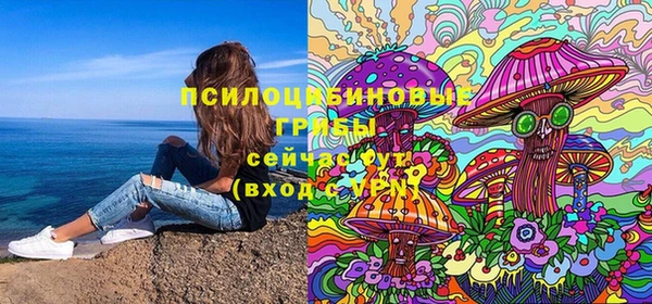 МДПВ Алзамай