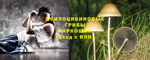 PSILOCYBIN Алексеевка