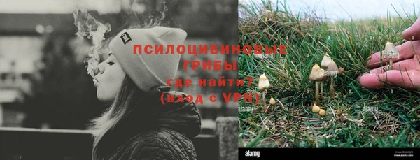 МДПВ Алзамай
