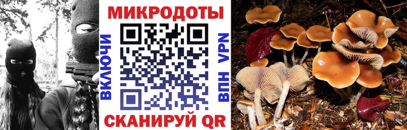 Галлюциногенные грибы мухоморы  Ахтубинск 